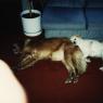 RanchPics_0045