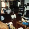 RanchPics_0047