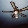 RanchPics_0048