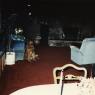 RanchPics_0049