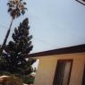 RanchPics_0053