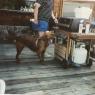Amber_watching_dad_bbq