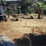 Skip_Back_yard