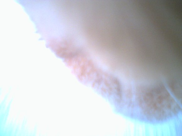 MARS0013
