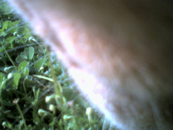 MARS0014