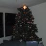 Tree_decorated1