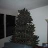 XmasTree