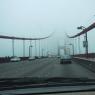 Driving_GG2