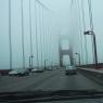 Driving_GG3