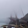 Golden_gate4