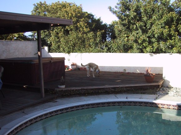Summer_and_the_deck