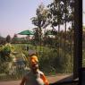 View_from_building_D
