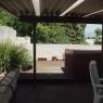 Backyard_1