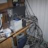 Birds_Nest