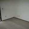 Extra_bedroom_carpet
