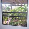Front_yard_from_Master_bed_2