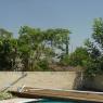 View_from_backyard_looking_east_1_001