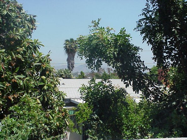 View_from_backyard_looking_east_2