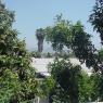 View_from_backyard_looking_east_2