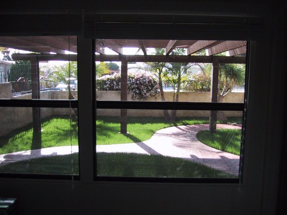 New_yard_from_master_bed1